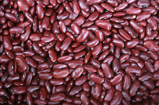 红芸豆遍地图片下载