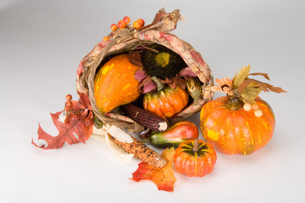 收获的篮子图片下载