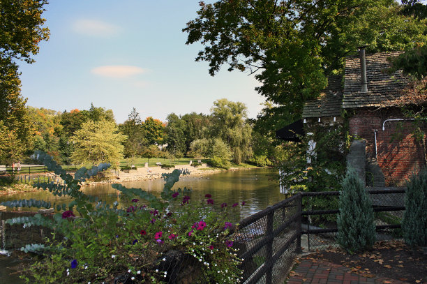 下午池塘图片下载