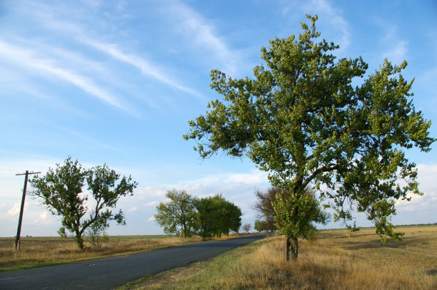 漫游在哪里图片下载