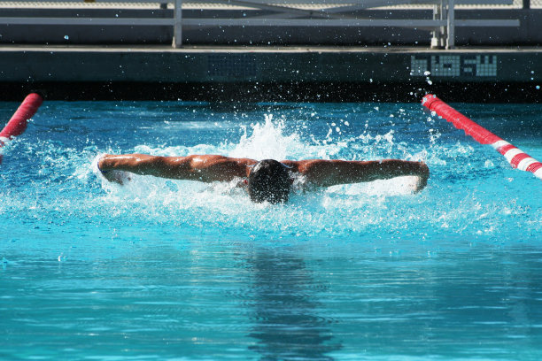 蝶泳图片下载
