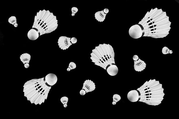 羽毛球图片下载