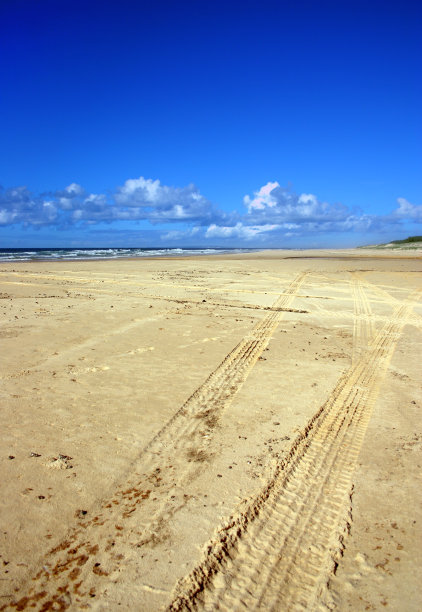 弗雷泽岛,澳大利亚图片下载
