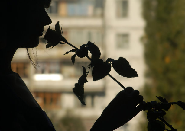 迷人的年轻女子的剪影与一朵花图片下载