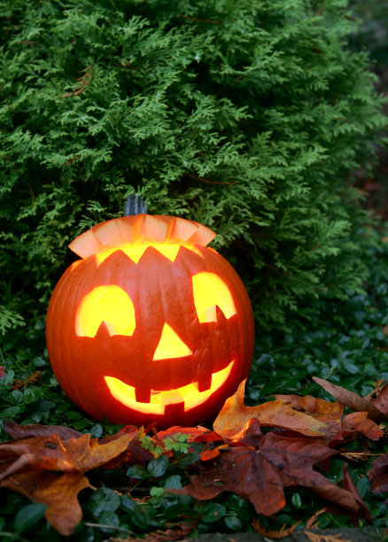 万圣节图片下载