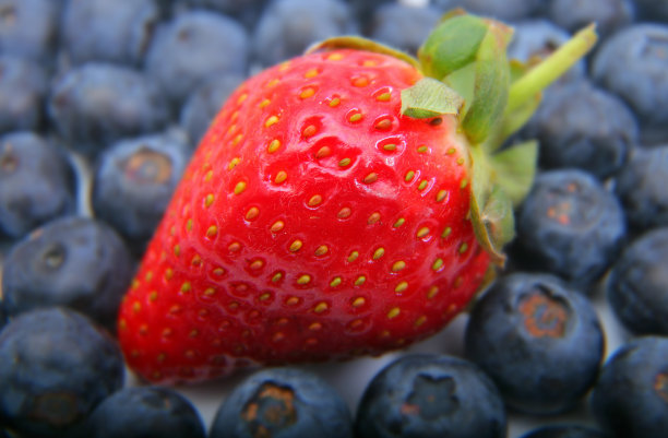 选择焦点草莓和蓝莓的背景图片下载