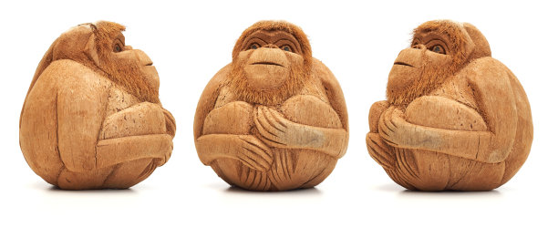 有趣的猴子图图片下载