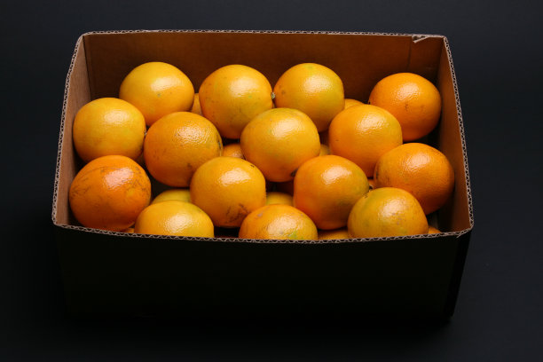 橙色在黑色图片下载