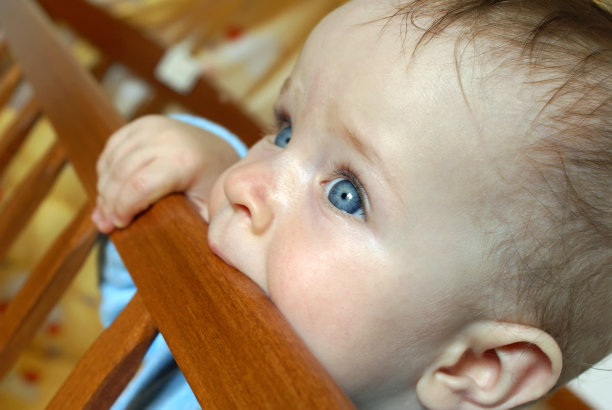 测试第一颗牙图片下载