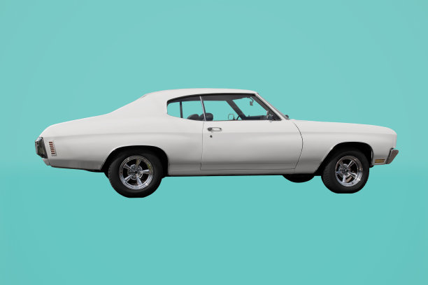 白色肌肉图片下载