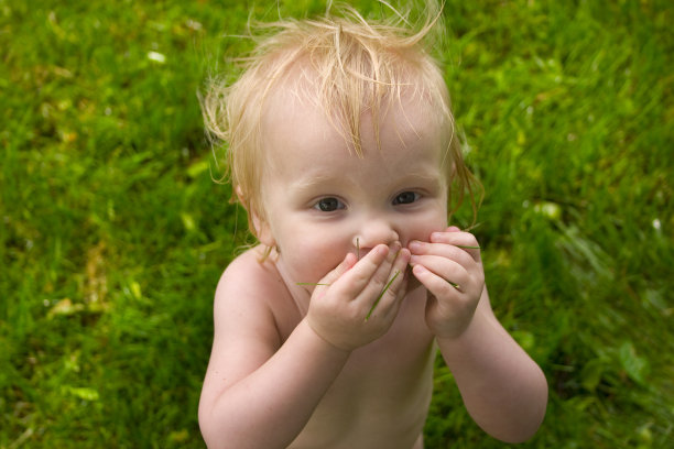 后院的乐趣图片下载