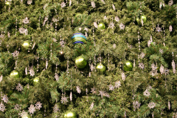 圣诞树图片下载