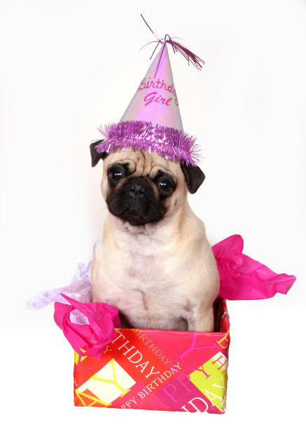 生日快乐图片下载