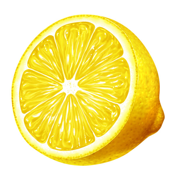柠檬片插图图片下载