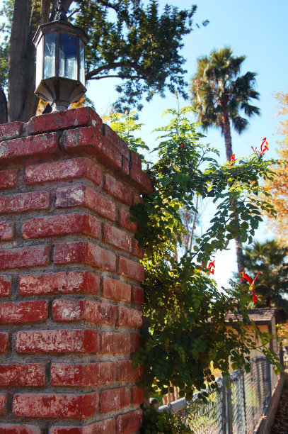 灯柱。图片下载