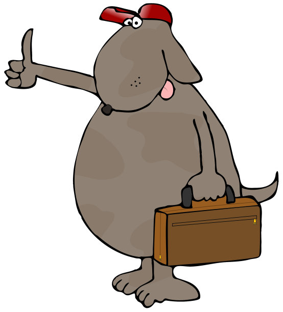 搭便车的狗图片下载