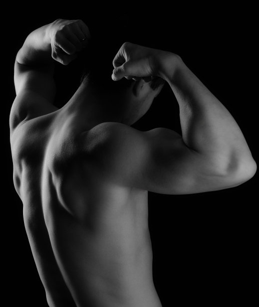 背部和二头肌图片下载