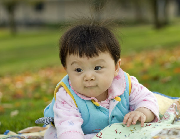 婴儿爬行户外图片下载