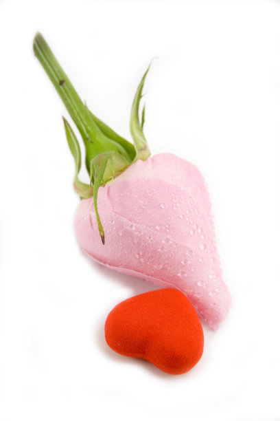 心和圣瓦伦丁节玫瑰图片下载