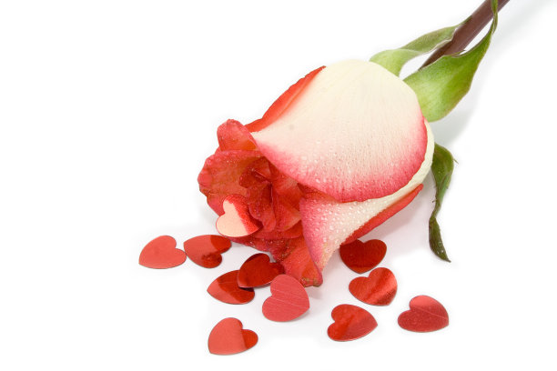 圣瓦伦丁玫瑰与心图片下载