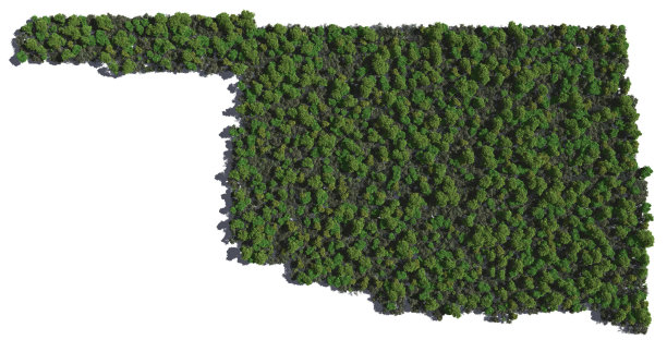 俄克拉荷马在树上图片下载