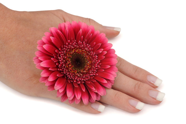 串珠子?re图片下载