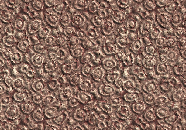 化石抽象面图片下载