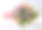 鲜花束，白色音符图片下载