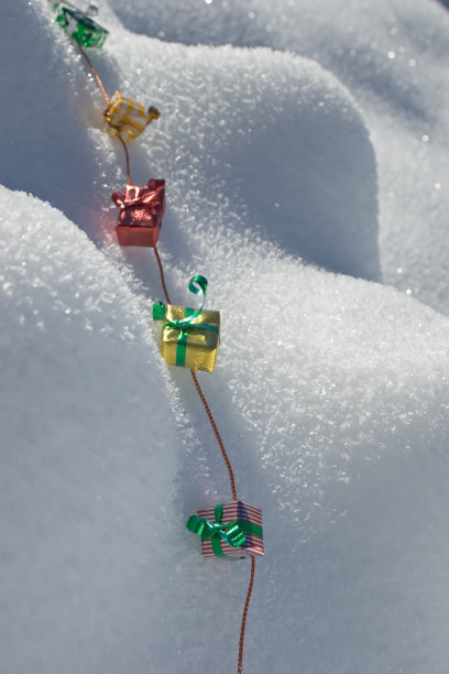 存在于雪中图片下载