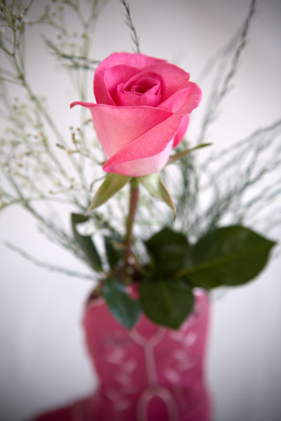 女牛仔上升两个图片下载