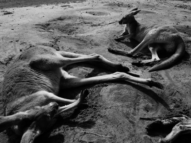 日光浴图片下载