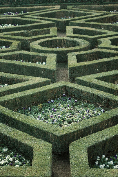 结构化的花园图片下载