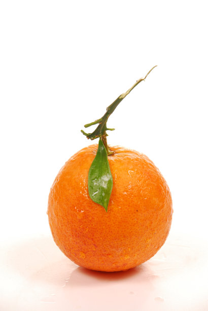 橙色孤立的白色背景图片下载