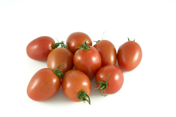 小番茄图片下载