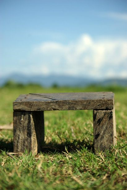 在球场上图片下载