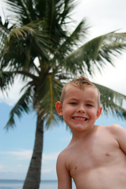 男孩和棕榈树图片下载