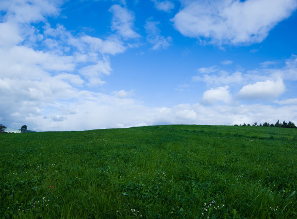 绿色和蓝色图片下载