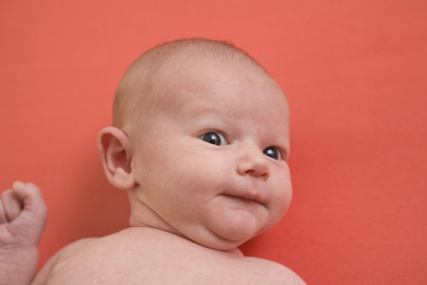 新生的婴儿图片下载