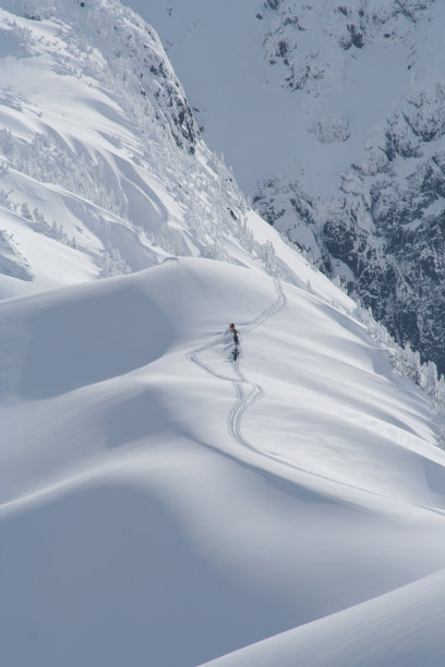野外旅行者图片下载
