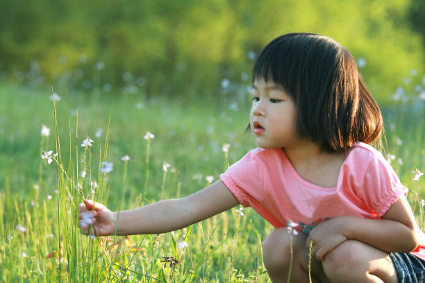 小女孩摘花素材图片