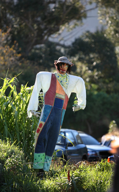 稻草人图片下载