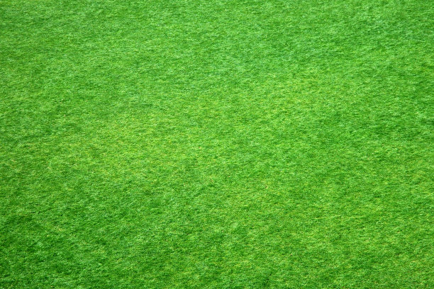 绿草如茵的球场纹理图片下载