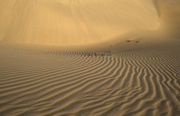 沙滩上的波浪图片下载