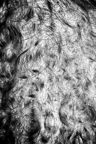 抽象的头发背景图片下载