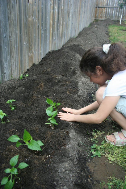 园艺的时间图片下载