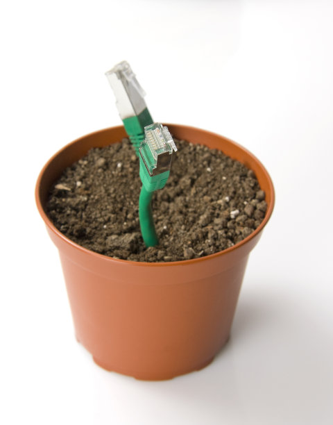 局域网的植物图片下载