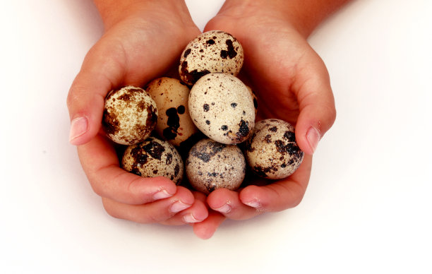 手拿着鸡蛋图片下载