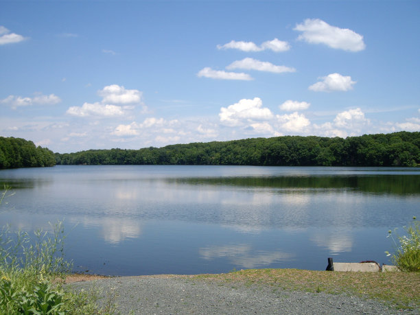 联盟的池塘图片下载