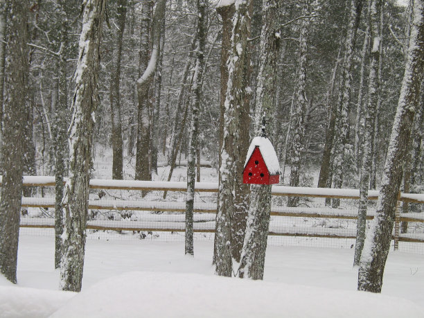 冬天撤退图片下载