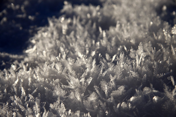 冰晶、雪图片下载